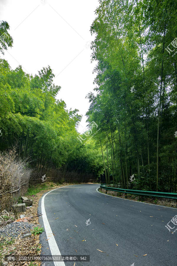 竹海公路景观