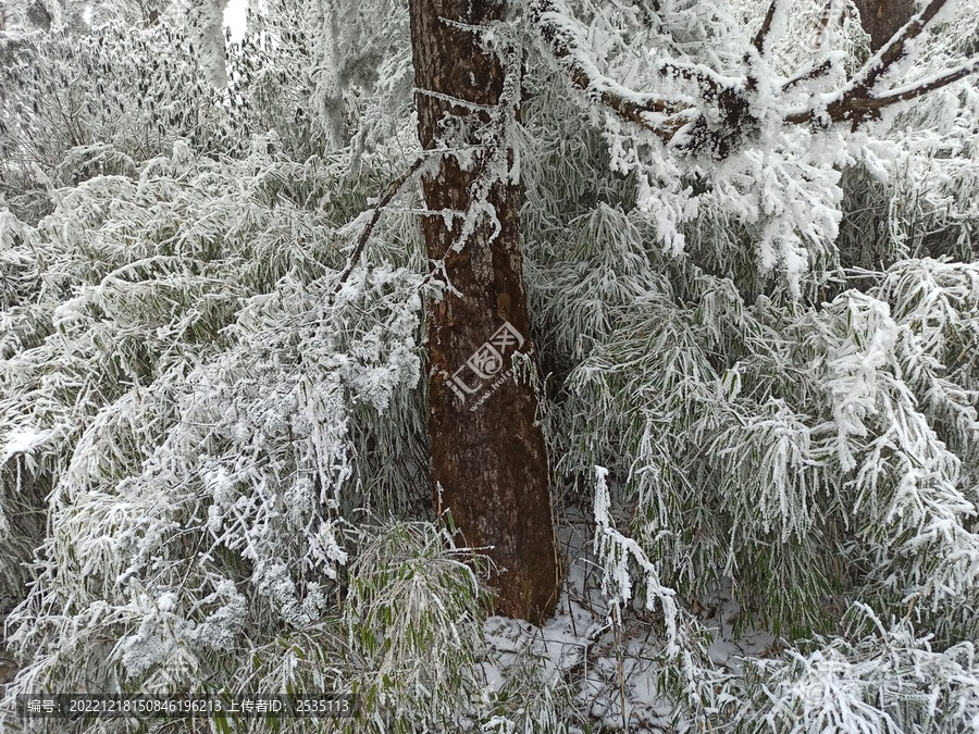 雪景树林积雪雪山雾凇