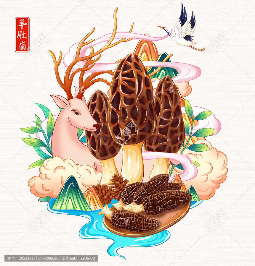 羊肚菌手繪插畫
