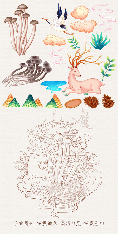 鹿茸菇插畫手繪