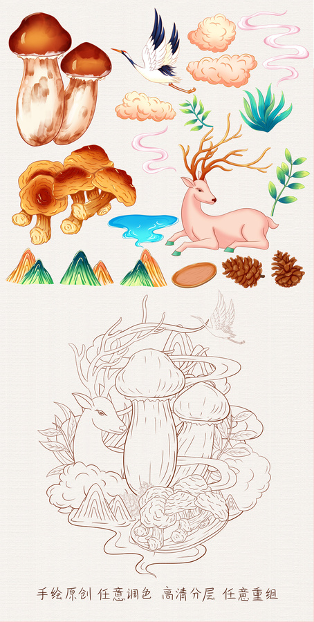 姬松茸插畫手繪