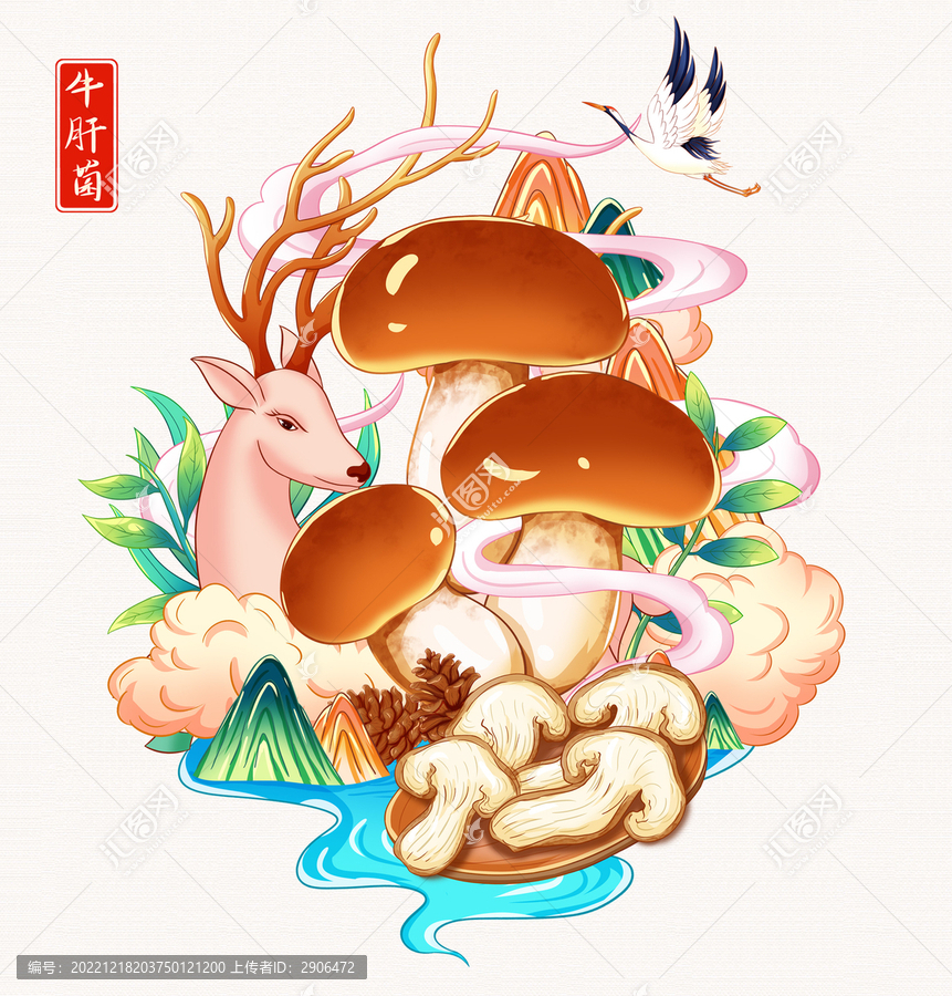 牛肝菌插畫手繪
