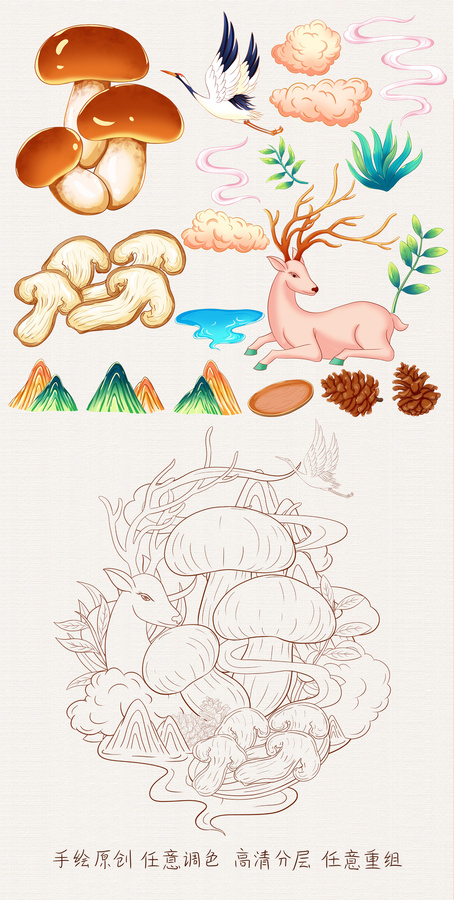 牛肝菌插畫手繪
