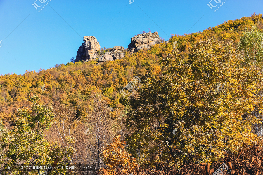 山峰森林