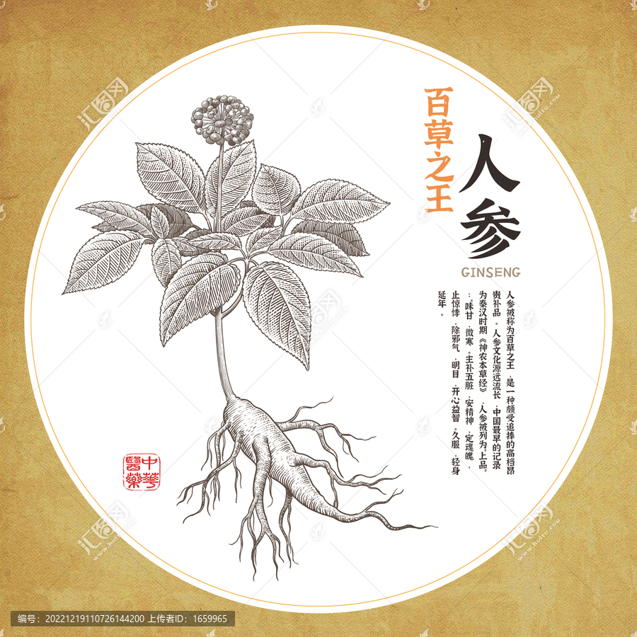 人參方形裝飾