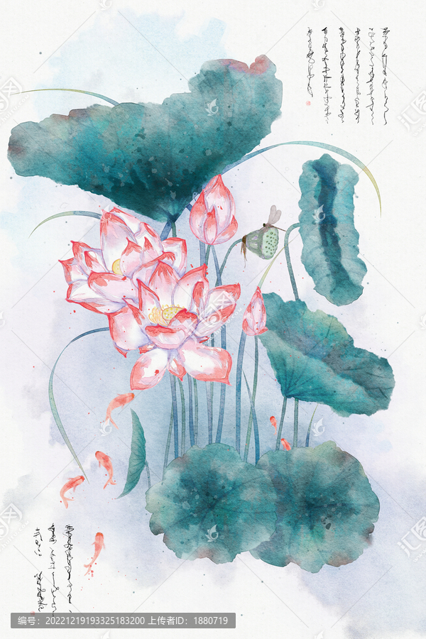 古風(fēng)荷花插畫