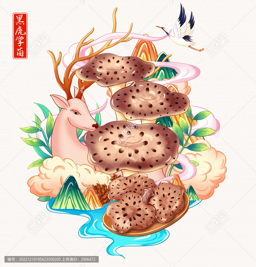 黑虎掌菌插畫手繪