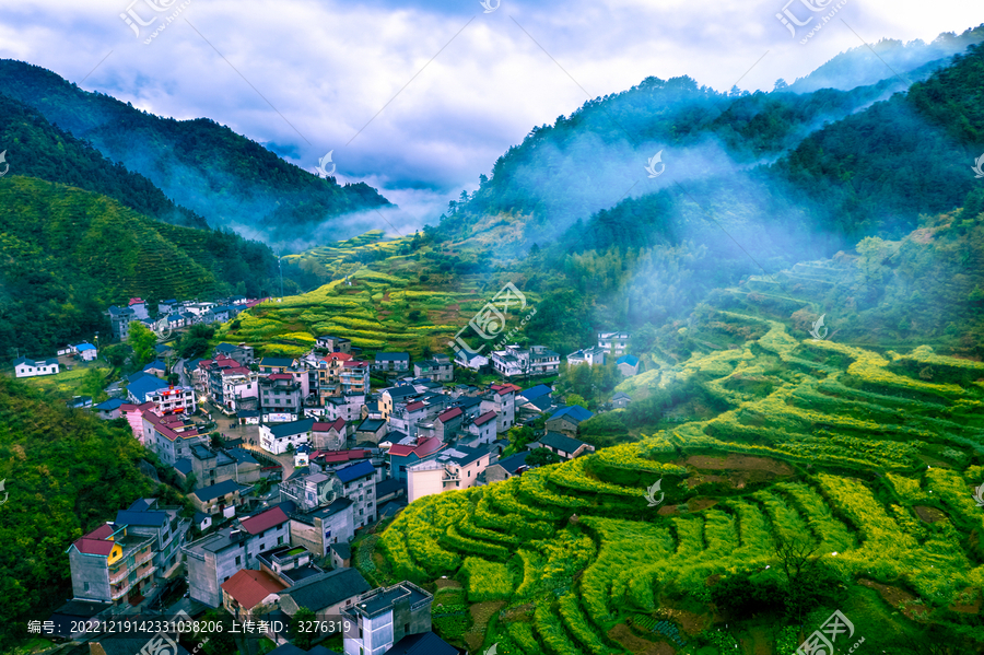 开化山村油菜花海云海风光