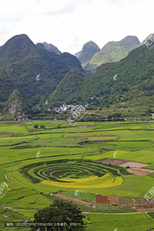 万峰林八卦田