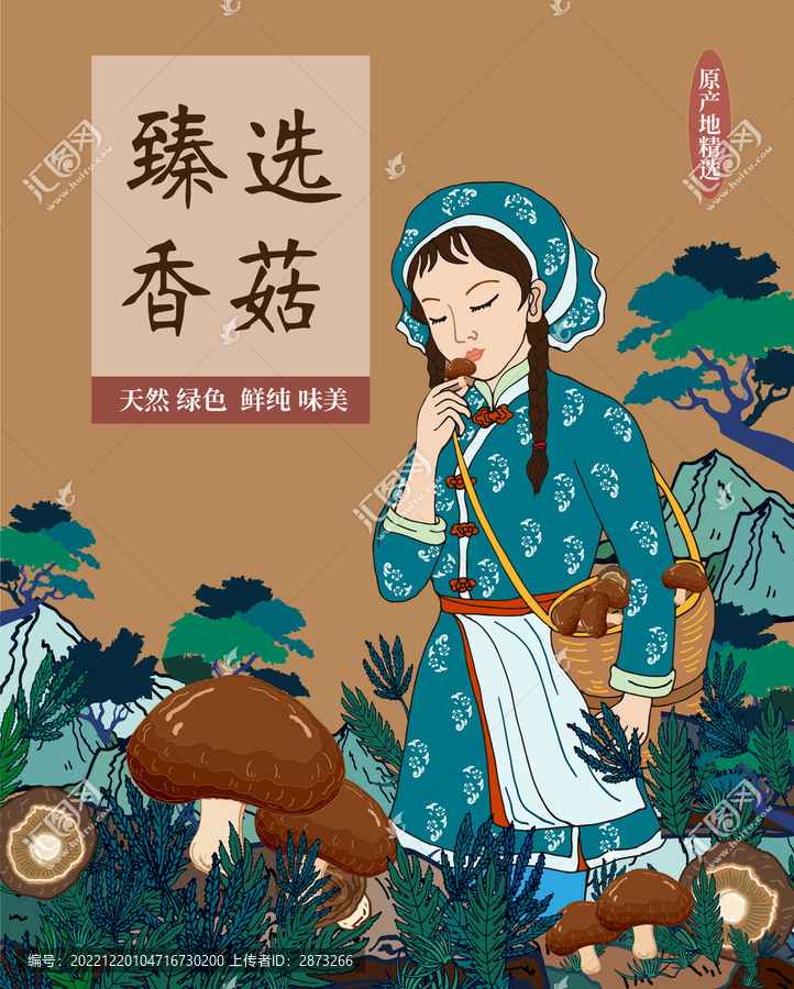 香菇禮盒包裝采蘑菇