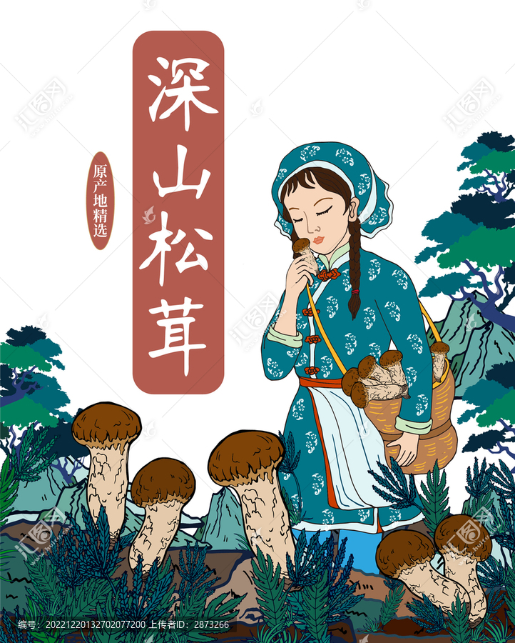 松茸禮盒包裝