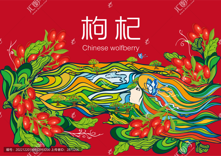 枸杞包裝禮盒插畫
