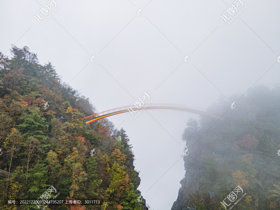 湖北神农架秋天公路