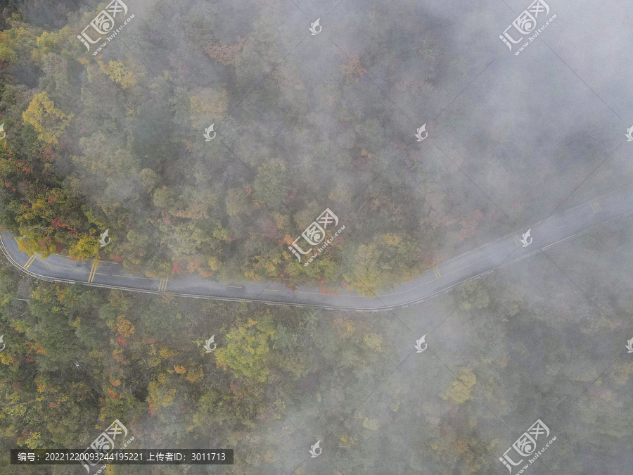 湖北神农架秋天公路