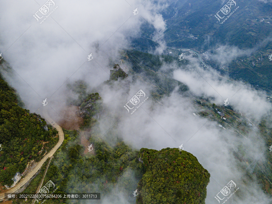 高山云雾