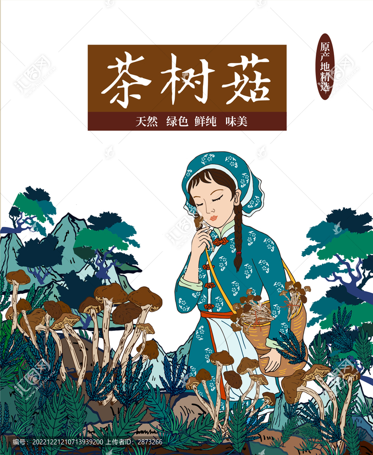 茶樹菇包裝插畫