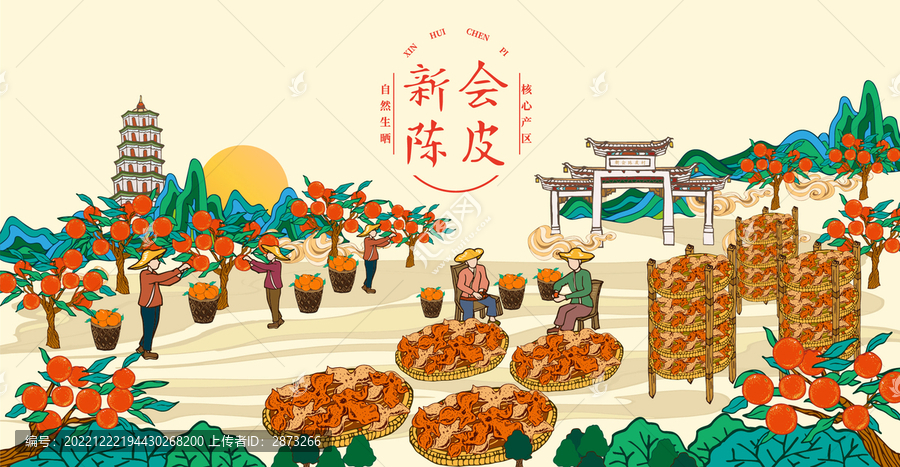 新會陳皮制作工藝插畫