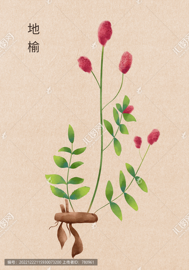 手繪地榆