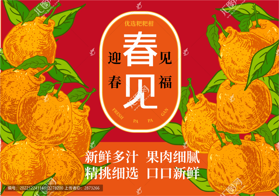 春見粑粑柑春節(jié)禮盒