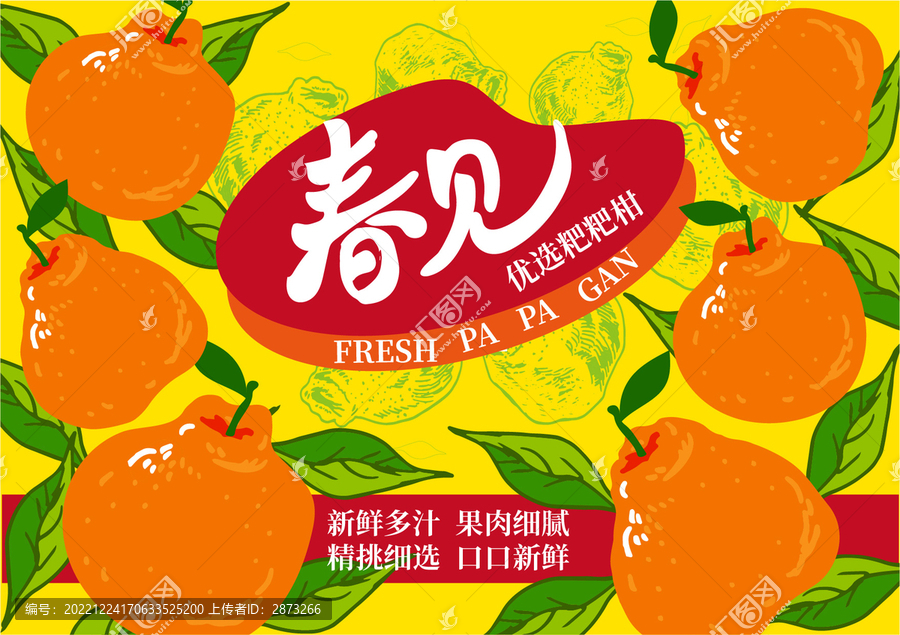 粑粑柑包裝插畫