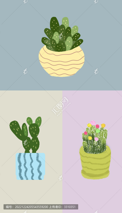 多肉植物