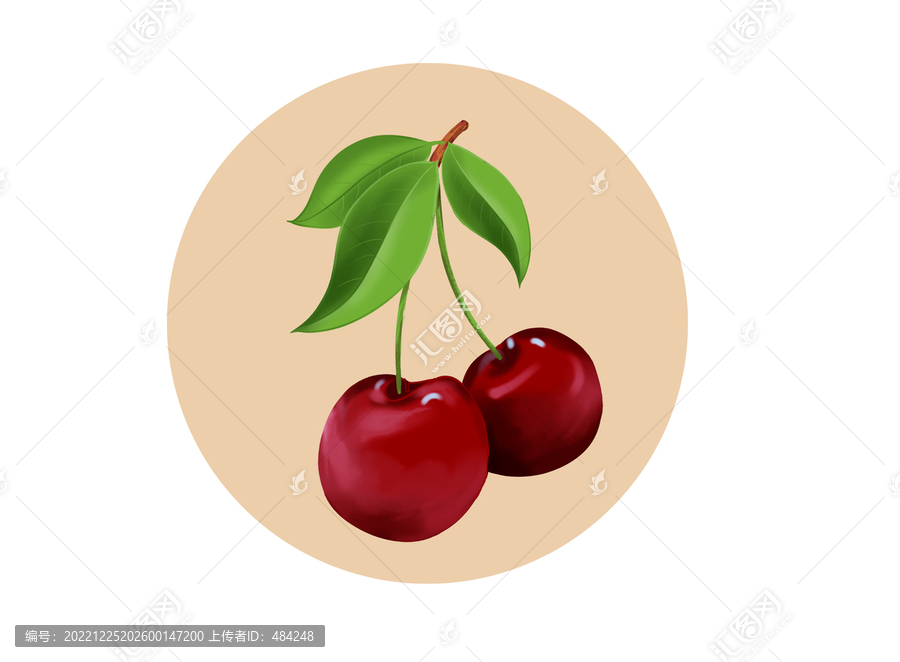 櫻桃插畫
