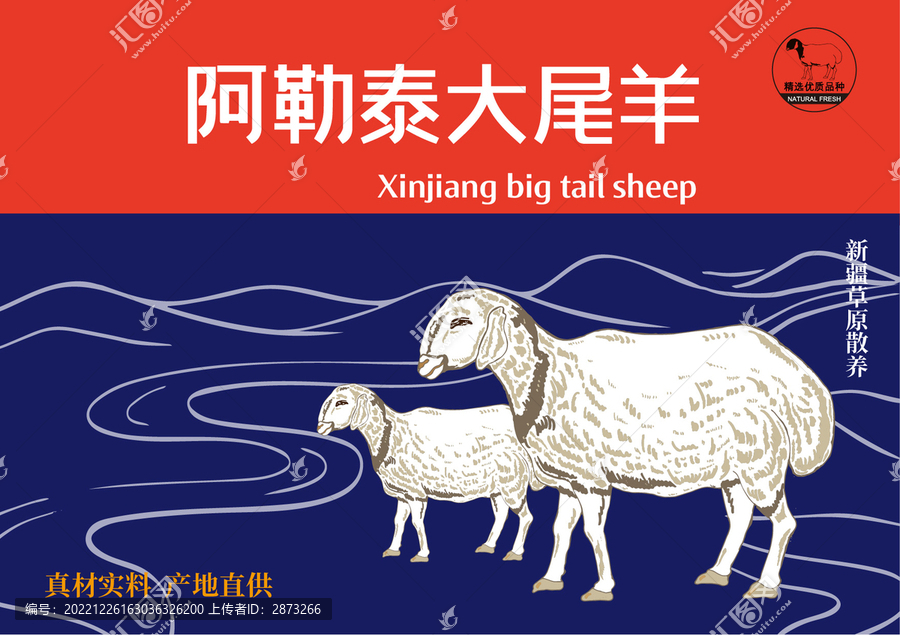 阿勒泰大尾羊包裝插畫
