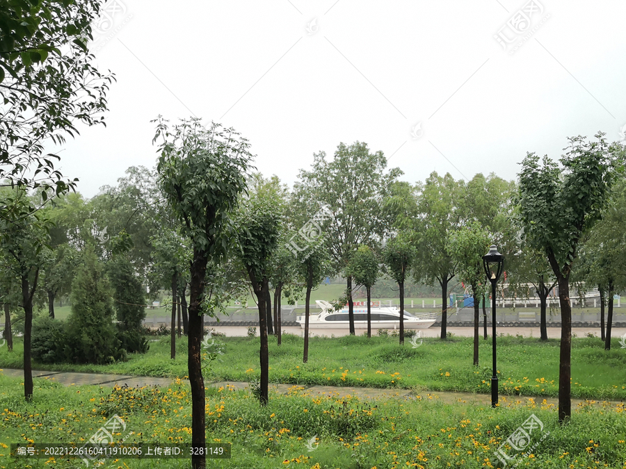 夏雨后的公园游船