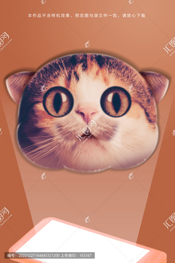 小貓抱枕