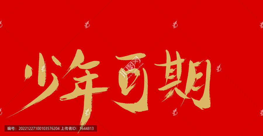 少年可期