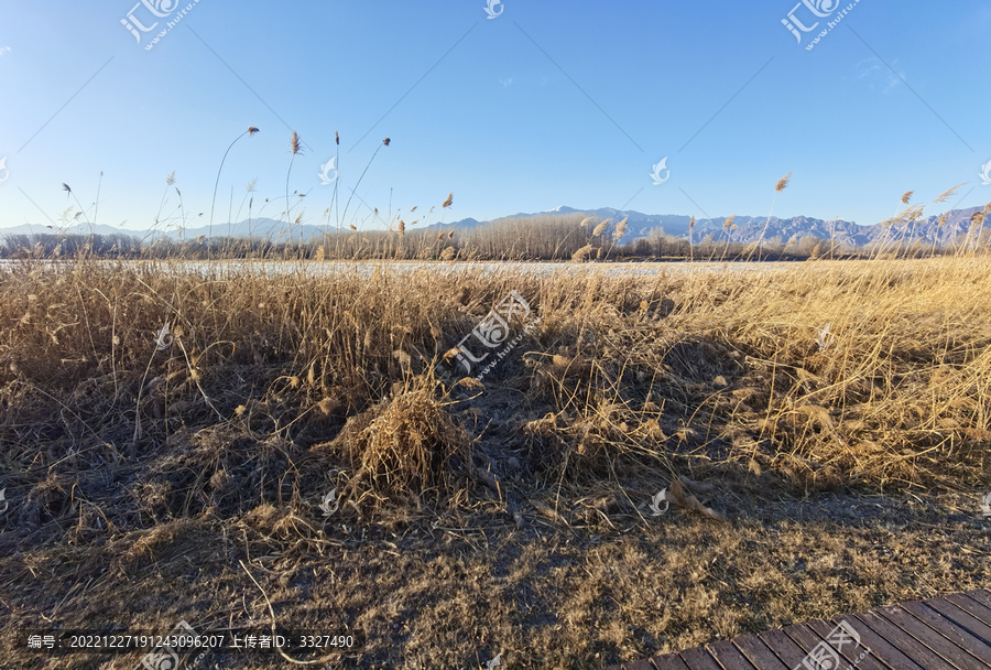 冬日晴空下的远山河流与树林