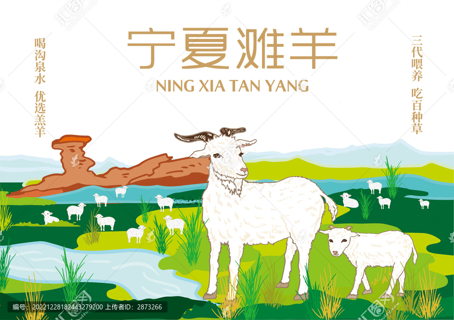 寧夏灘羊包裝插畫