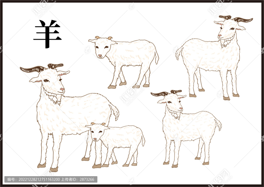 羊插畫