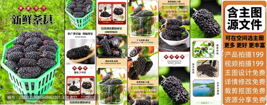 新鮮桑葚詳情