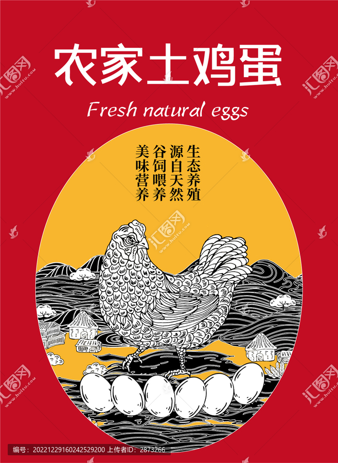 雞蛋包裝插畫