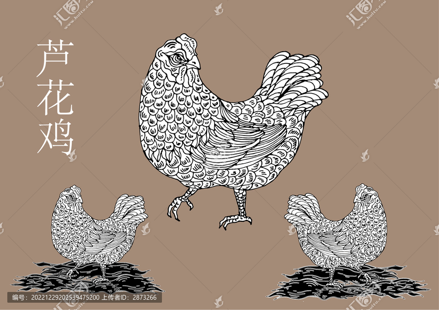 蘆花雞插畫
