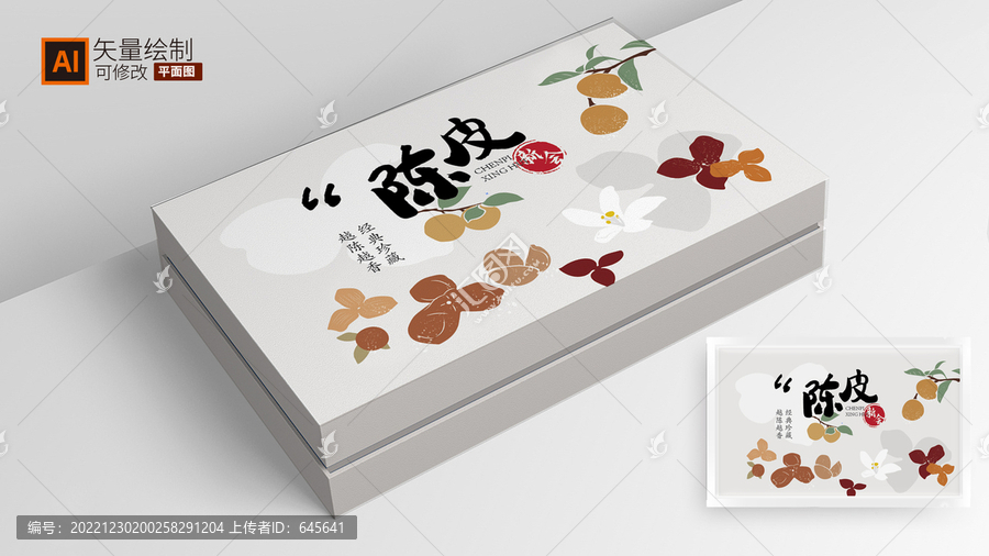 陳皮插畫