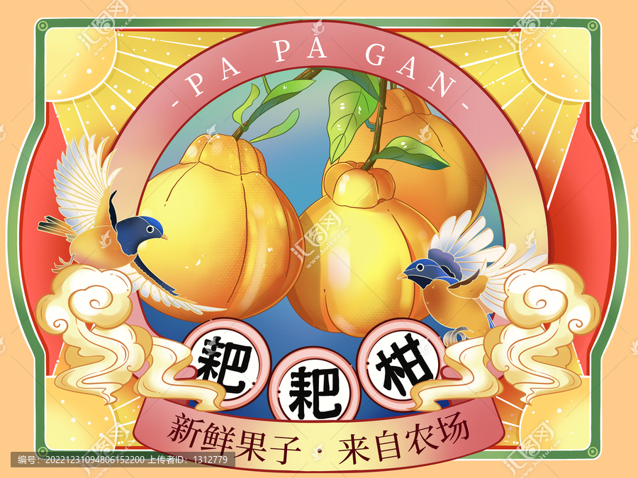 耙耙柑水果插畫包裝