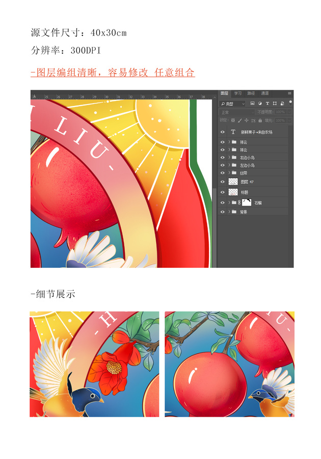 紅石榴水果插畫包裝