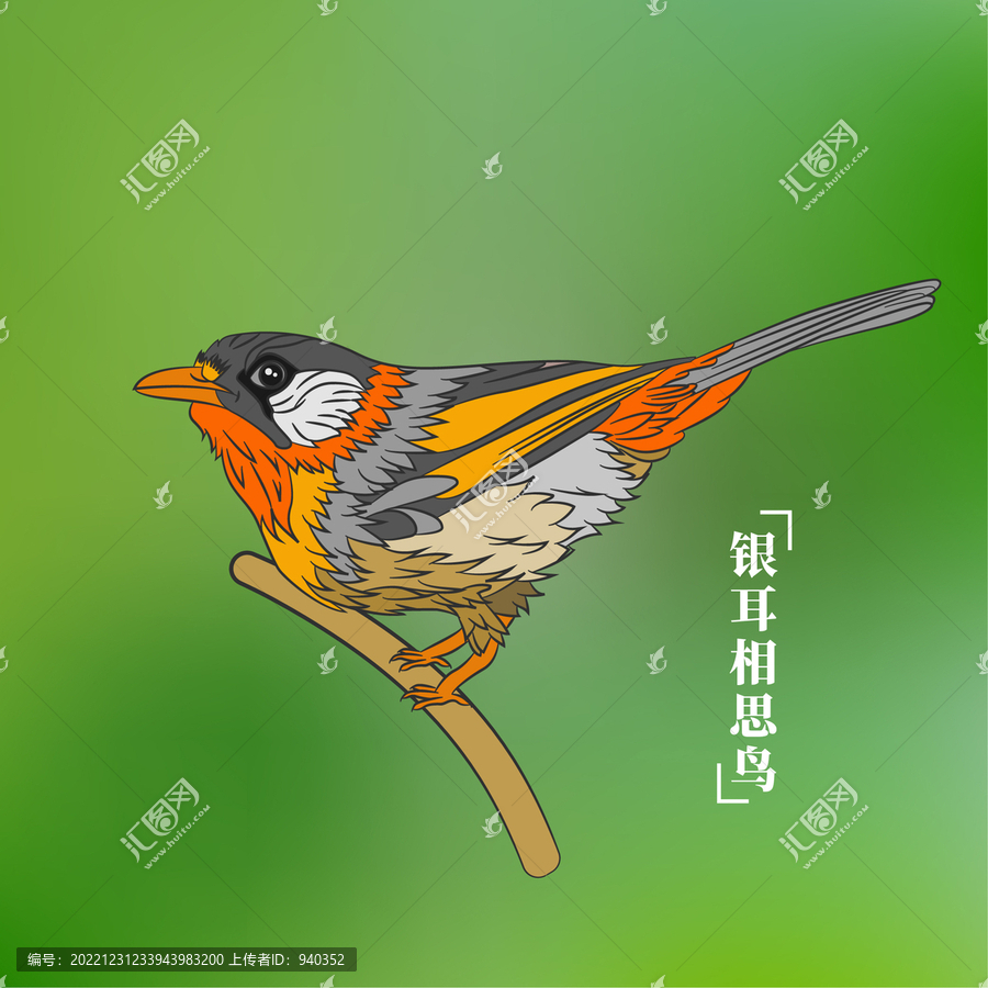 銀耳相思鳥