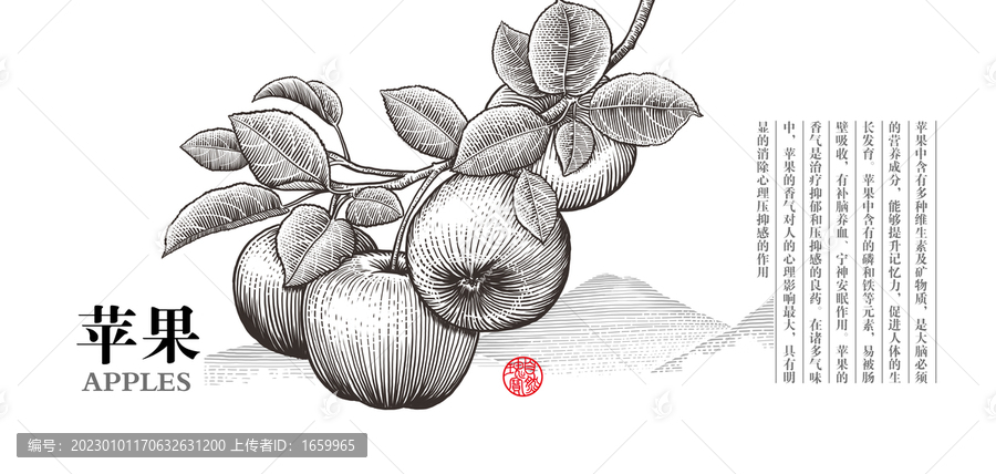 版畫風(fēng)格線條蘋果