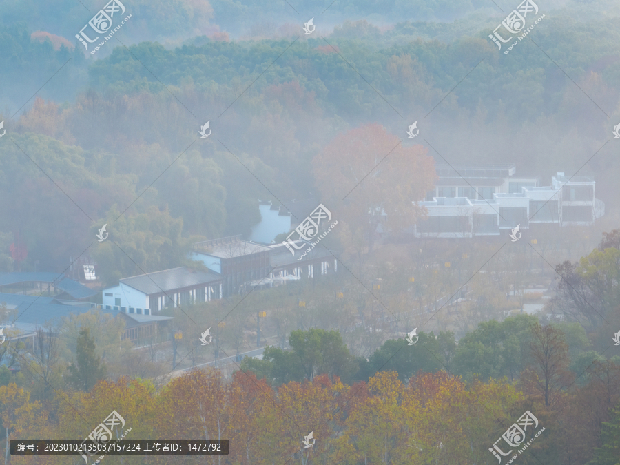 武汉东湖磨山风景区初冬风光