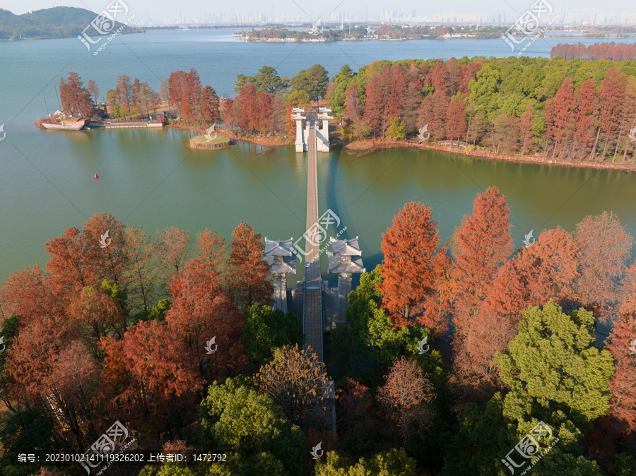 武汉东湖落雁岛风景区深秋风光