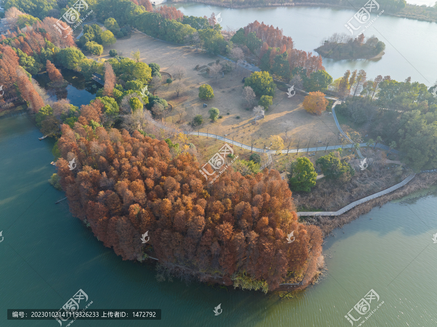 武汉东湖落雁岛风景区深秋风