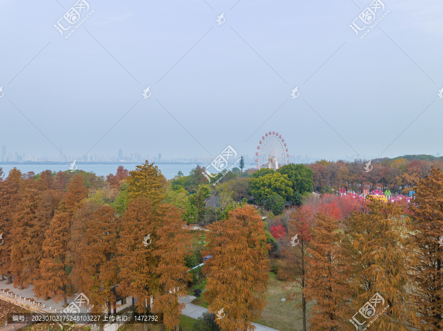 武汉东湖风景区深秋风光