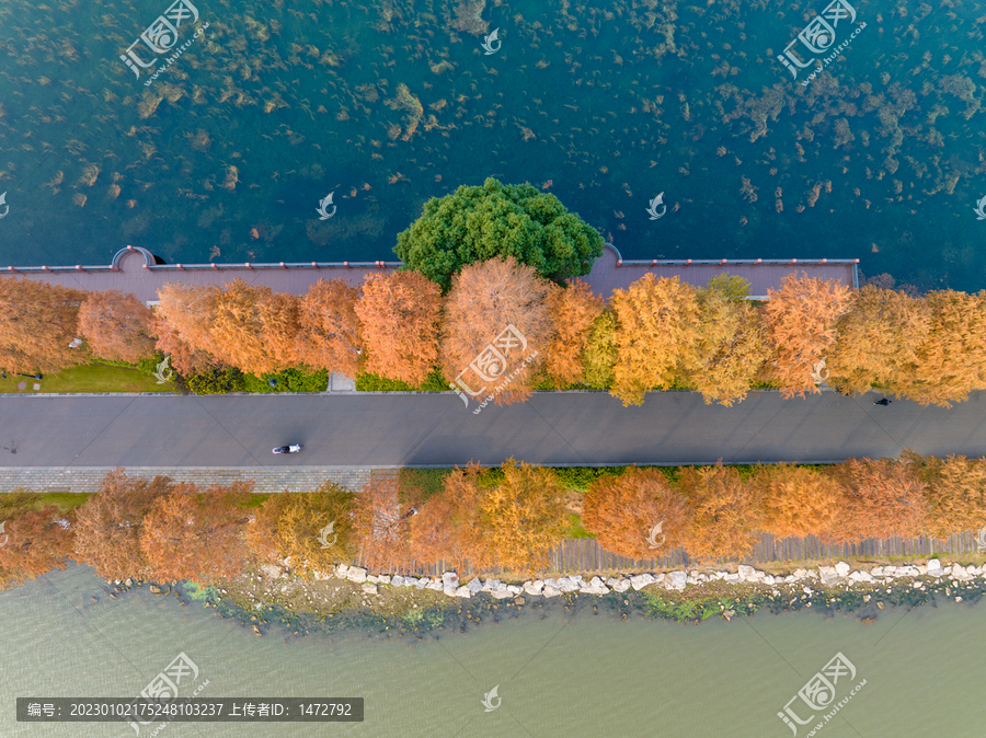 武汉东湖风景区深秋风光