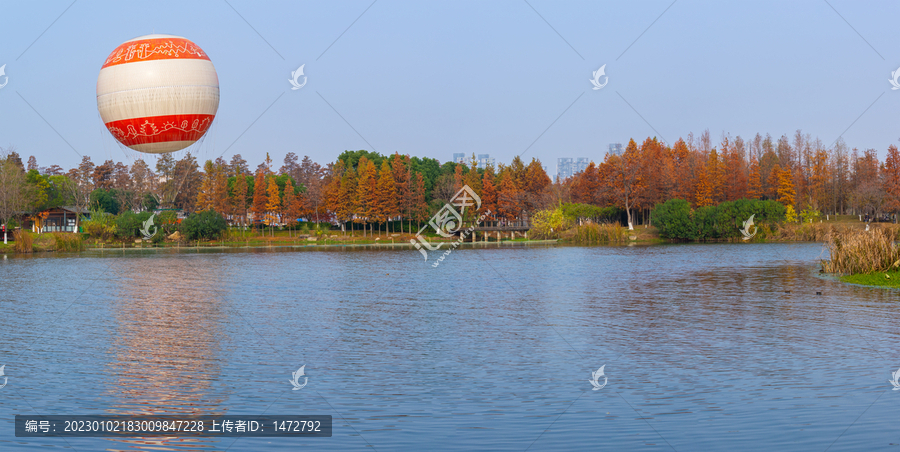 武汉东湖风景区深秋风光