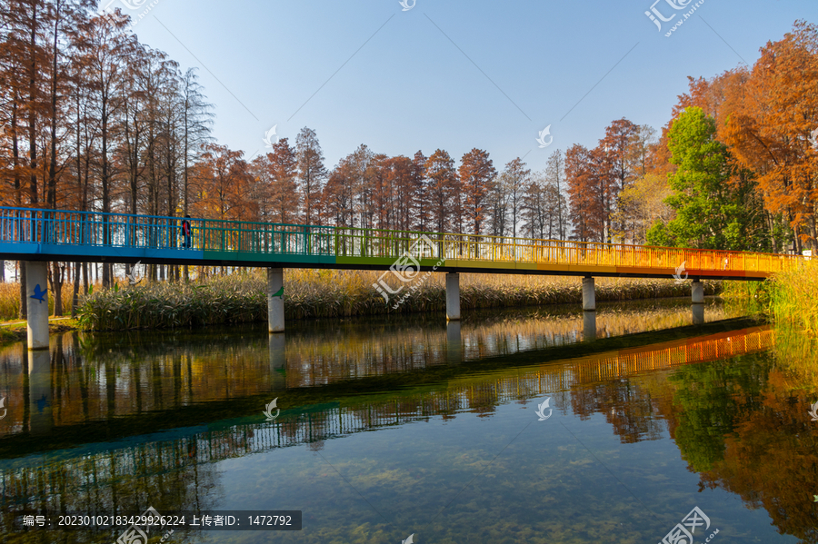 武汉东湖风景区深秋风光