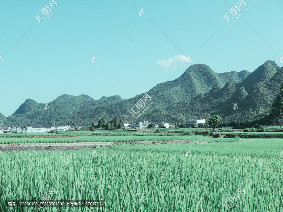 万峰林风光