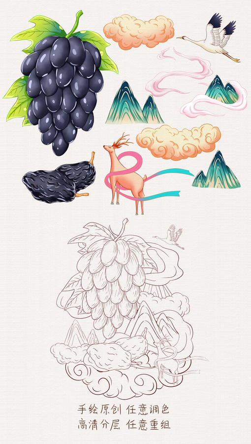 黑加侖葡萄干手繪插畫
